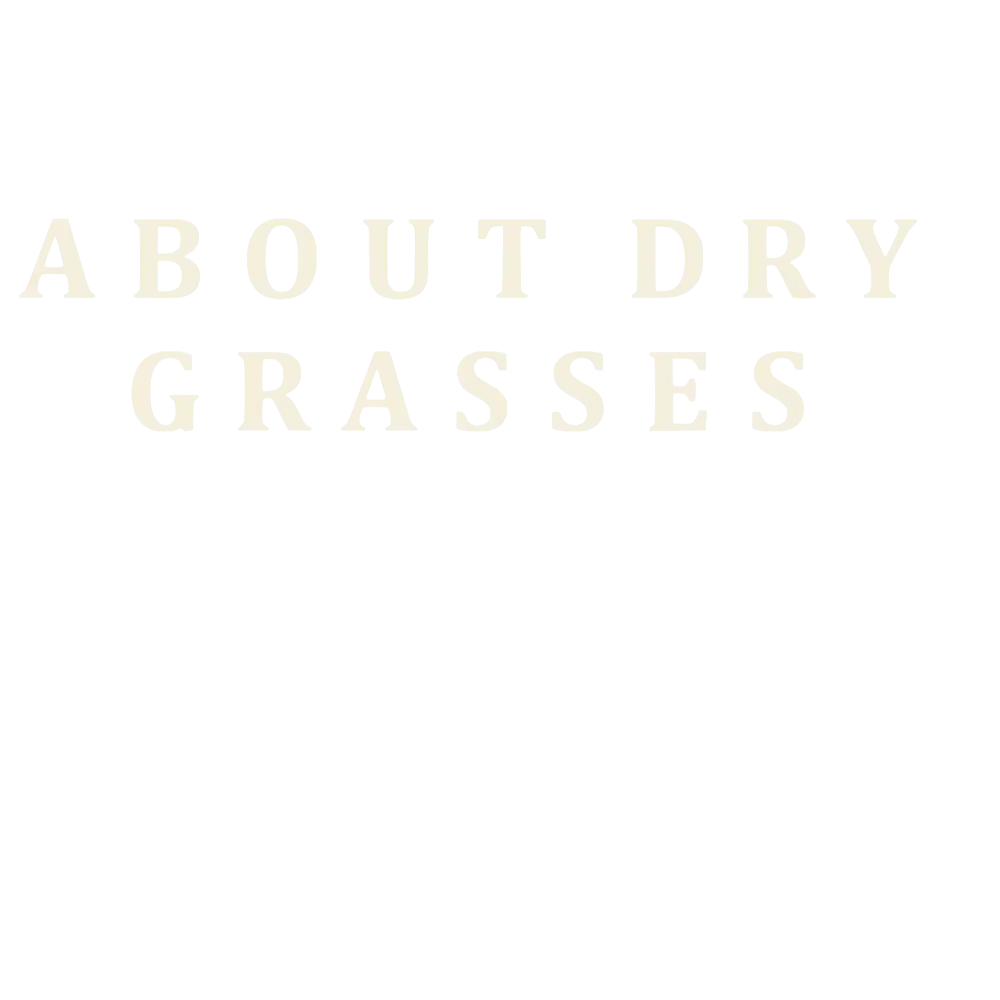 https://cdn.zinamatv.com/image/2024/08/05/About Dry Grasses logo _66b08548310bb.webp