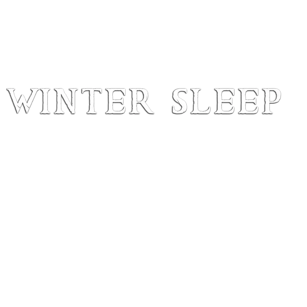 https://cdn.zinamatv.com/image/2024/08/12/Winter Sleep logo _66b9c084cc1b5.webp