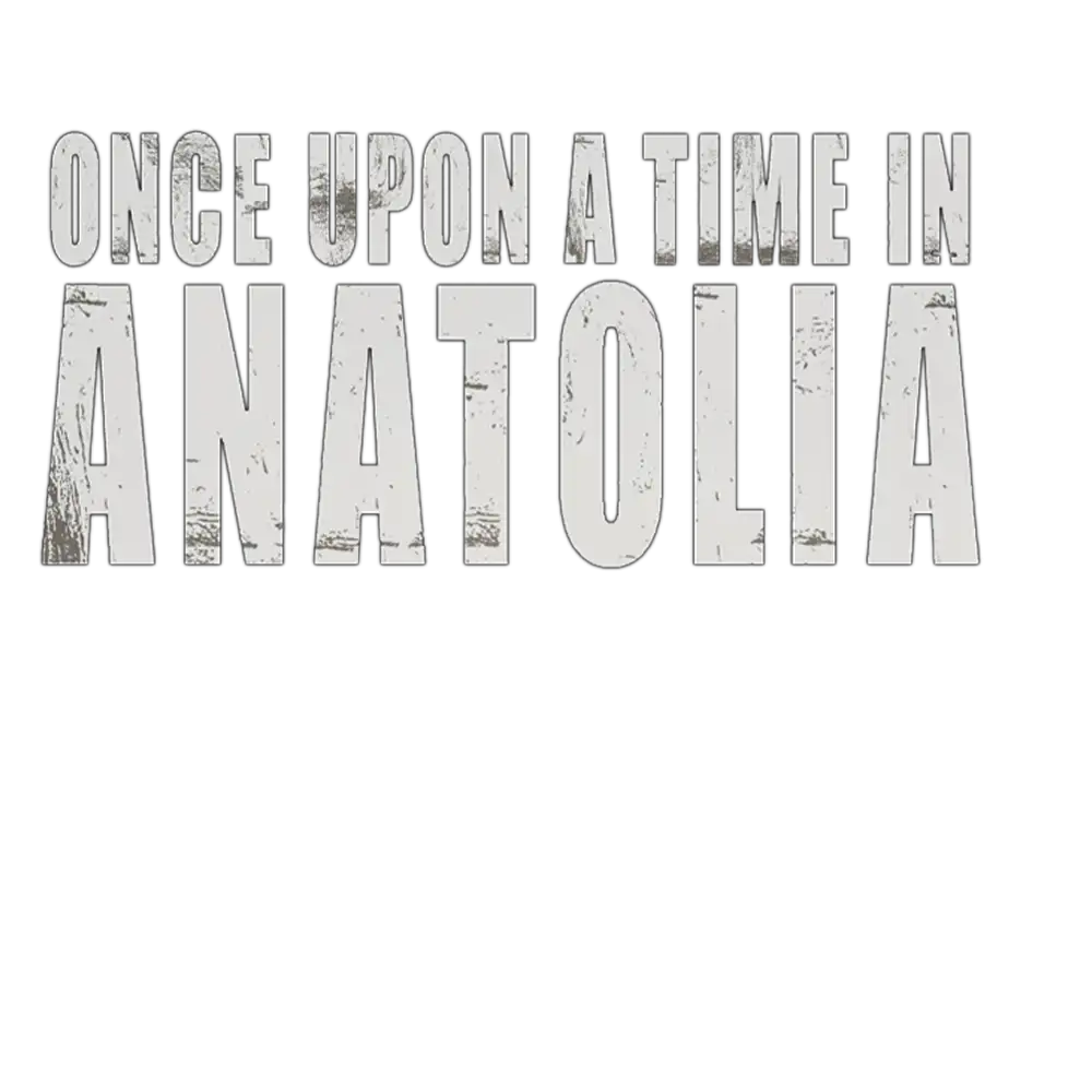 https://cdn.zinamatv.com/image/2024/08/13/Once Upon a Time in Anatolia poster _66bb25363c596.webp