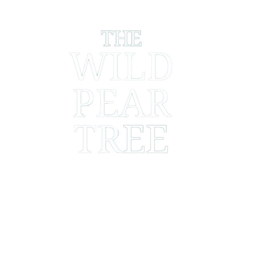 https://cdn.zinamatv.com/image/2024/08/15/The Wild Pear Tree logo _66bdb30ed42ad.webp